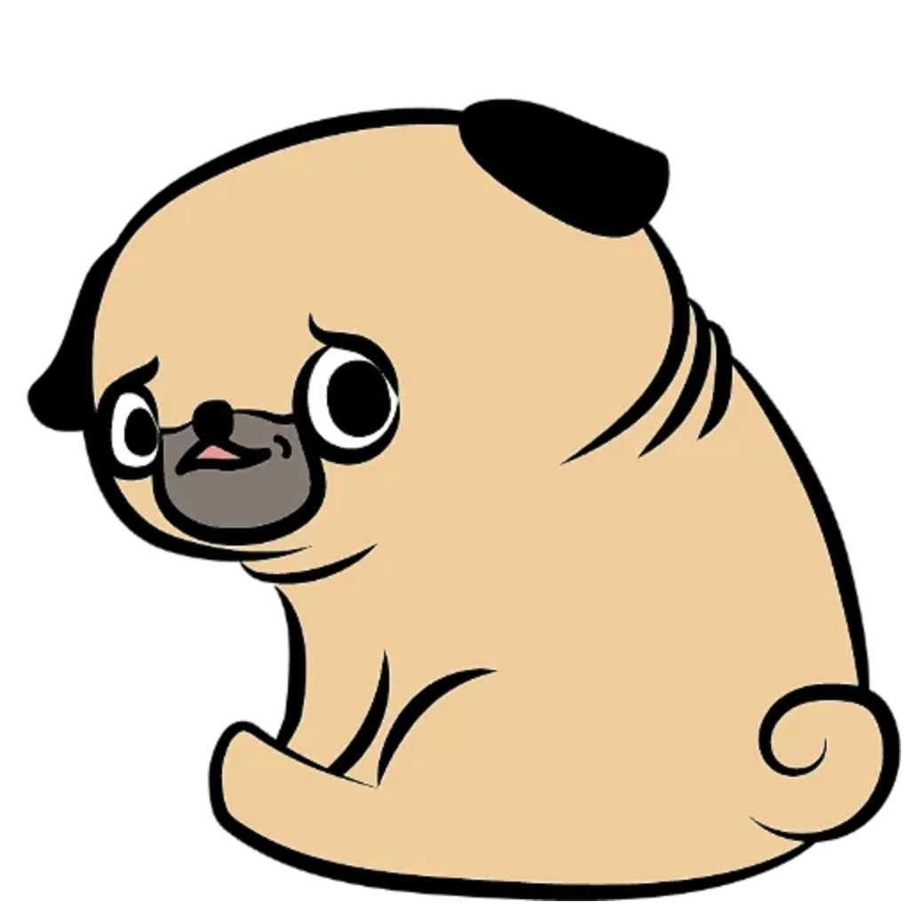 Pugsky, the studio's pug mascot, sitting and looking up